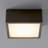 Pyxis Acrylic Flush Mount-19929018
