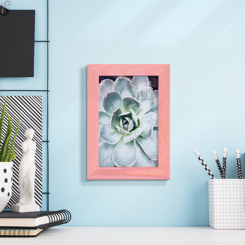Pastel Succulent Beauty IV, reproduction d'art encadrée, H 7 po x l 5 po x P 1 po, Rose