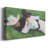 Landscape Series-CMXXXVII- Gallery Wrapped Canvas -Ready to Hang-107108049