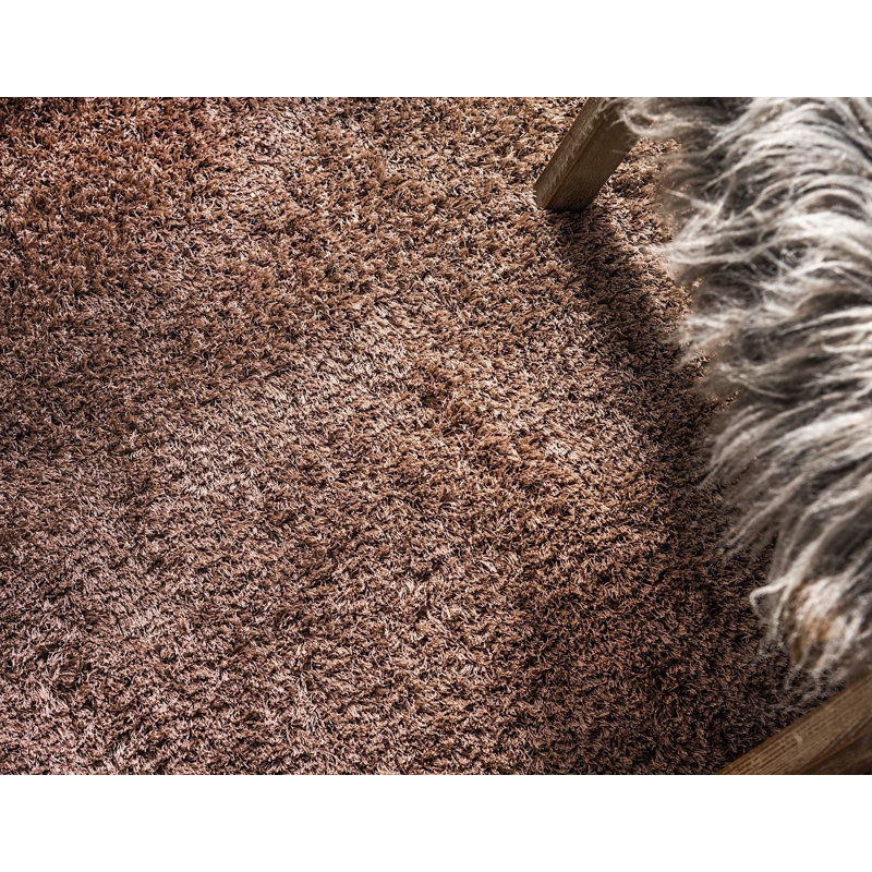 Tapis brun Paramount, Tapis de couloir 2 pi x 6 pi 7 po