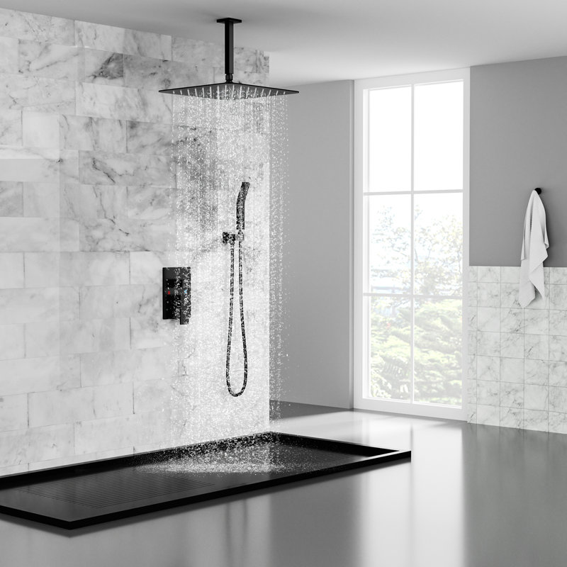 Ensemble de douche 16 pouces à double fonction plaqué noir avec tringle