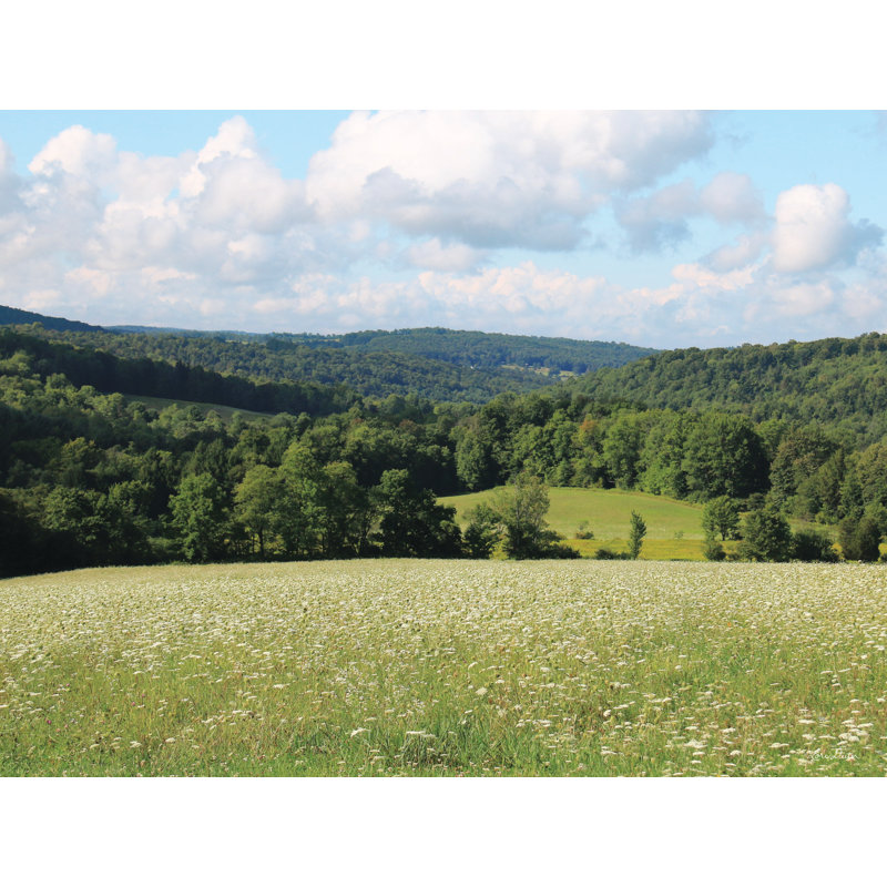 Impression sur toile, "Rolling Hills in Summer" par Lori Deiter, H 20 po x l 30 po