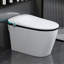 Luxury Smart Toilet With Bidet Seat Built-In