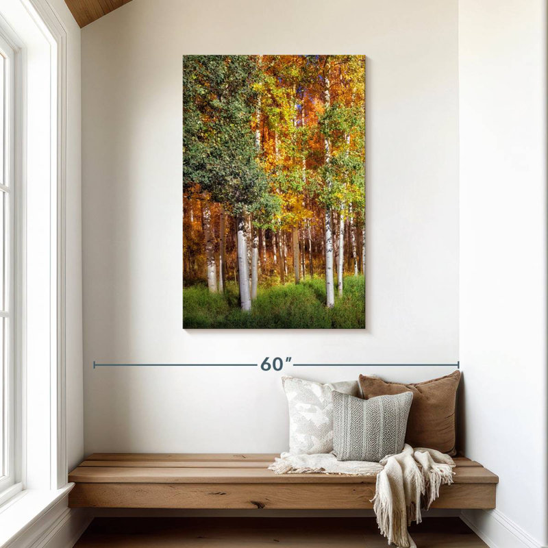 Alvord Aspen Glen I, H 45 po x l 30 po