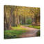 No Frame Print on Canvas-1716782631