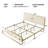 Nelsie Upholstered Platform Bed with Velvet Tufted Headboard-1002191314-996180396