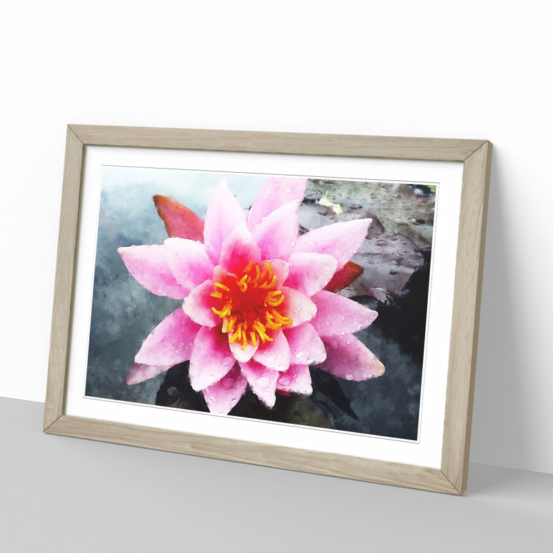 Pink Water Lily Flower Vol.4 - Picture Frame Graphic Art, 36cm H x 48cm W x 2cm D, Oak Framed