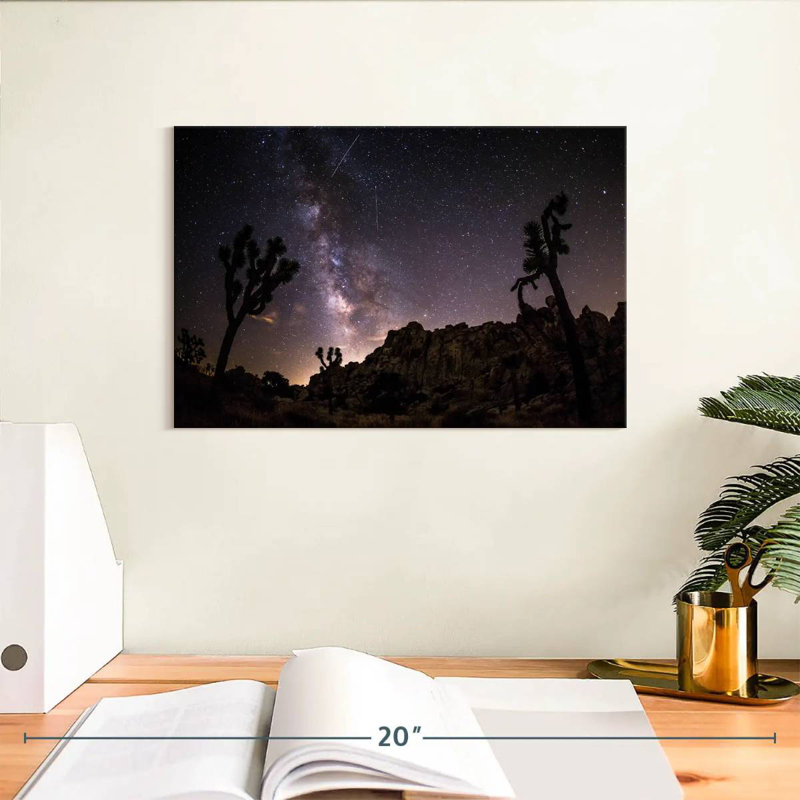 Parc arboré Oberle Starlit Joshua, H 8 po x l 12 po