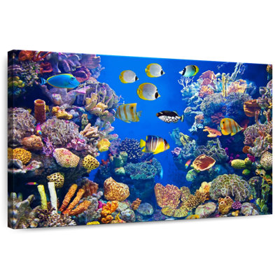 Aletra Teeming Underwater Life