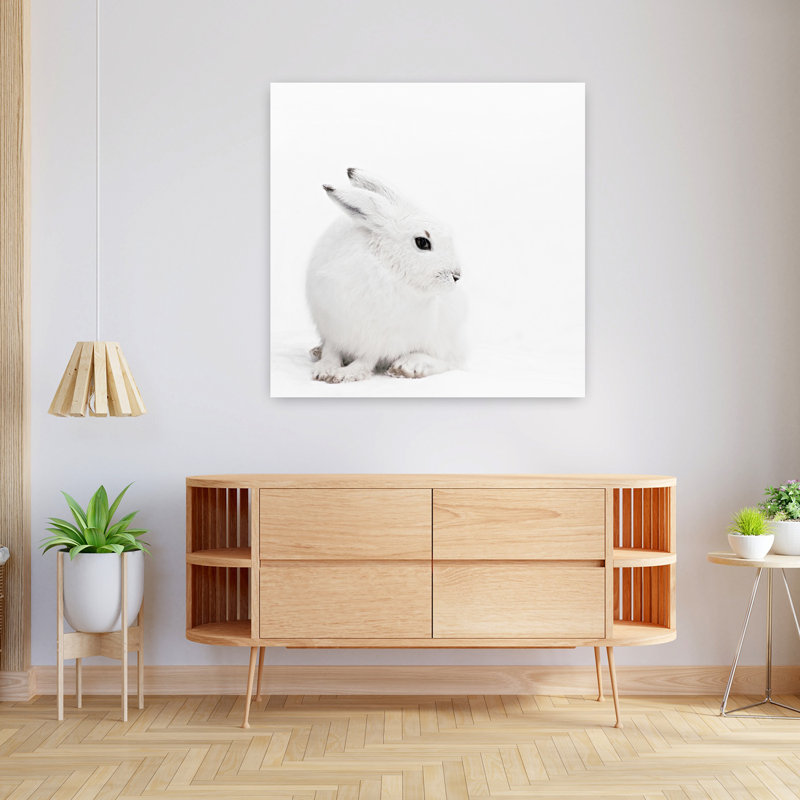 Art mural contemporain abstrait «Snowy Hare Serenity», H 36 po x l 36 po