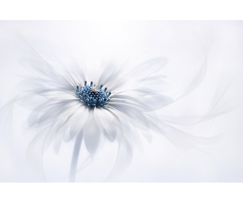 Wrapped Canvas Print, 60.96 cm H x 91.44 cm W