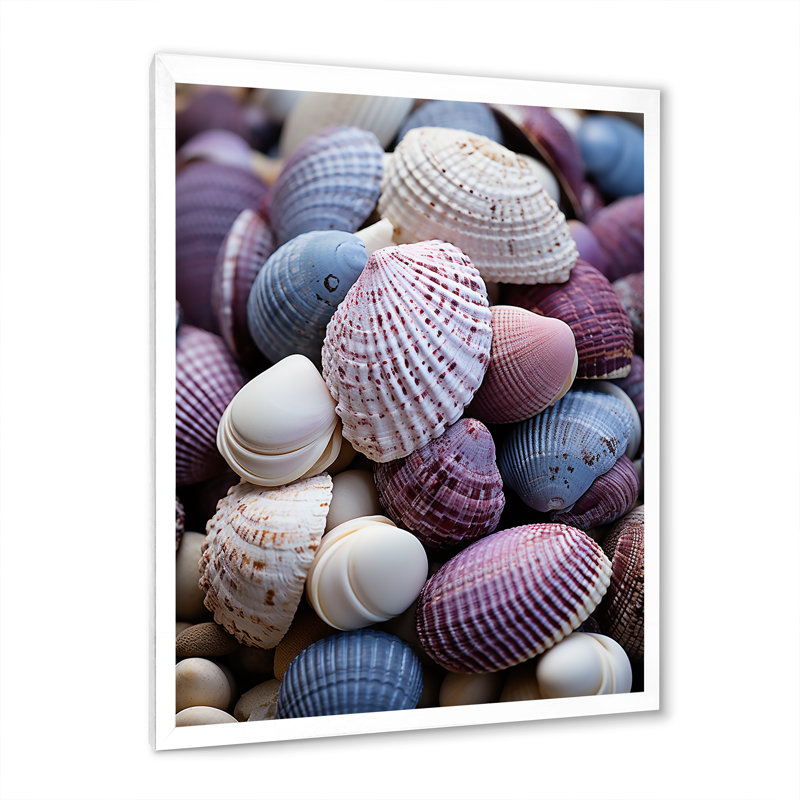 Beach Shells and Shadows III sur toile, H 20 po x l 12 po x P 1 po, Cadre photo blanc