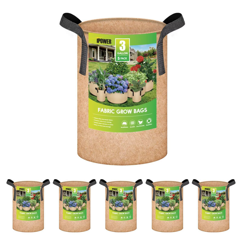 Paquet de 5 gallons de fleurs pour plantes IPower, Noir