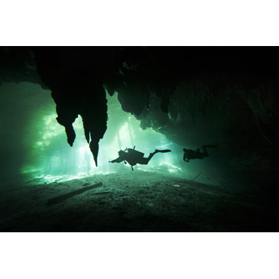 Diving - Wrapped Canvas Print