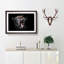 A Yawning Tiger - Framed Print-55457260-55457263