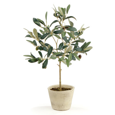 Tarik 19.5'' Faux Olive Tree Tree in Ceramic Pot