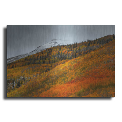 Luxe Metal Art 'Shades Of Autumn' by Bill Sherrell, Metal Wall Art