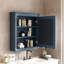 Armoire à pharmacie murale avec tablette à hauteur réglable et miroir-1650942644