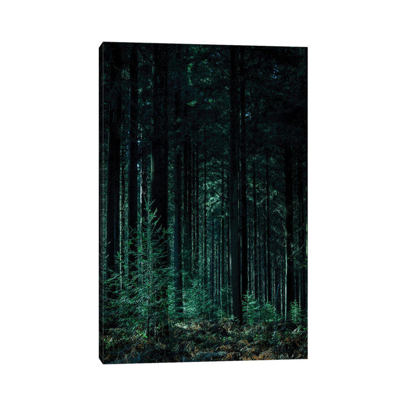 Deep Green - Print on Canvas, 66.04 cm H x 45.72 cm W x 3.175 cm D, Wrapped Canvas