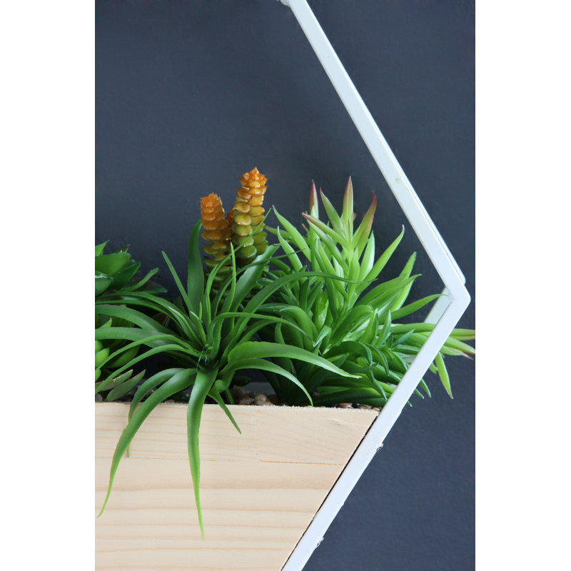 30.5Cm Artificial Succulent in White Hexagonal Planter