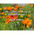 Artsy Quote "I am a Libra so I have to balance things." By Mark Viduka Gallery Wrapped Canvas