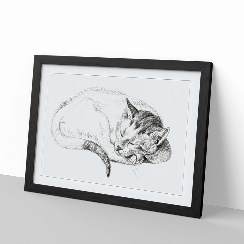 Sleeping Cat by Jean Bernard - Picture Frame Drawing Print, Black Framed, 27cm H x 36cm W x 2cm D
