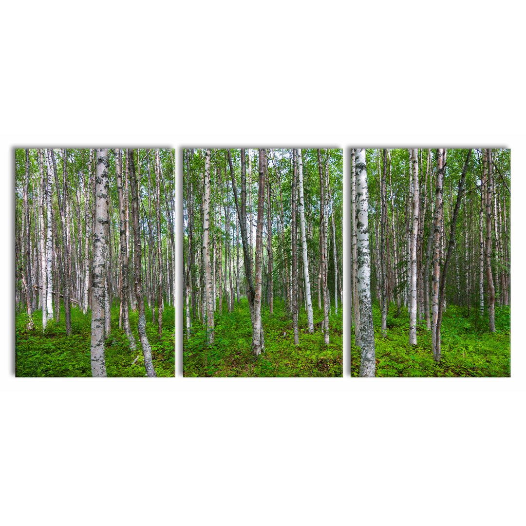 3-tlg. Leinwandbilder-Set Birch Forest