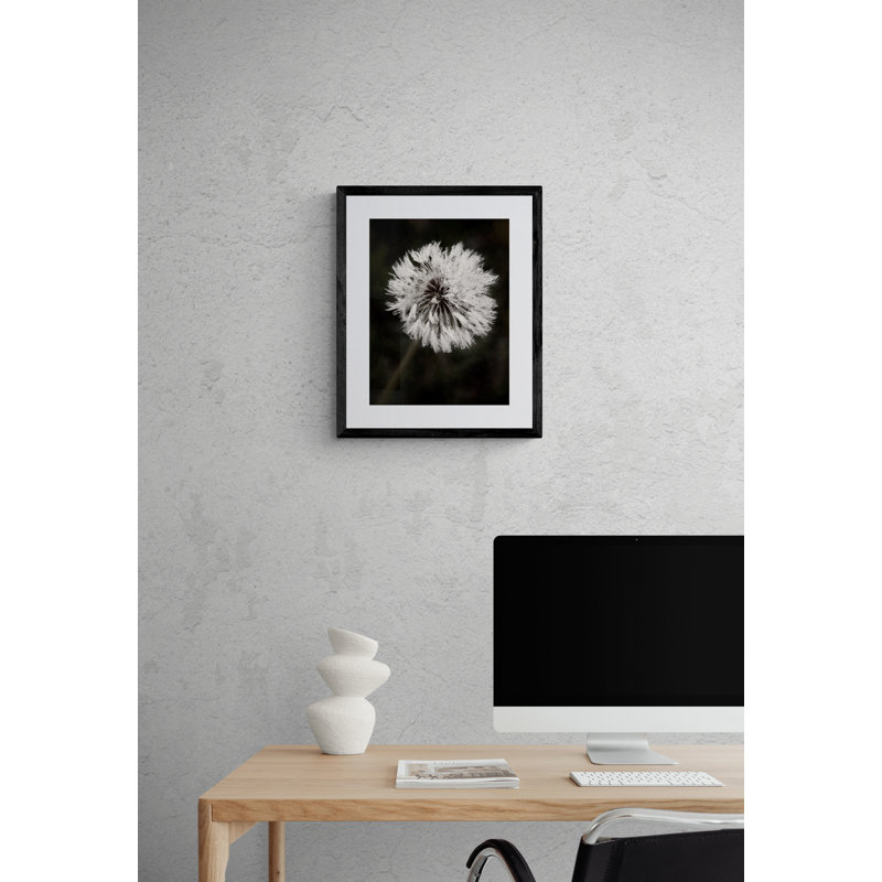 Water Drops On Dandelion Flower Print by Scott Norris, 31.25" H x 25.25" W