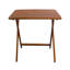 Table pliante portative-111178237