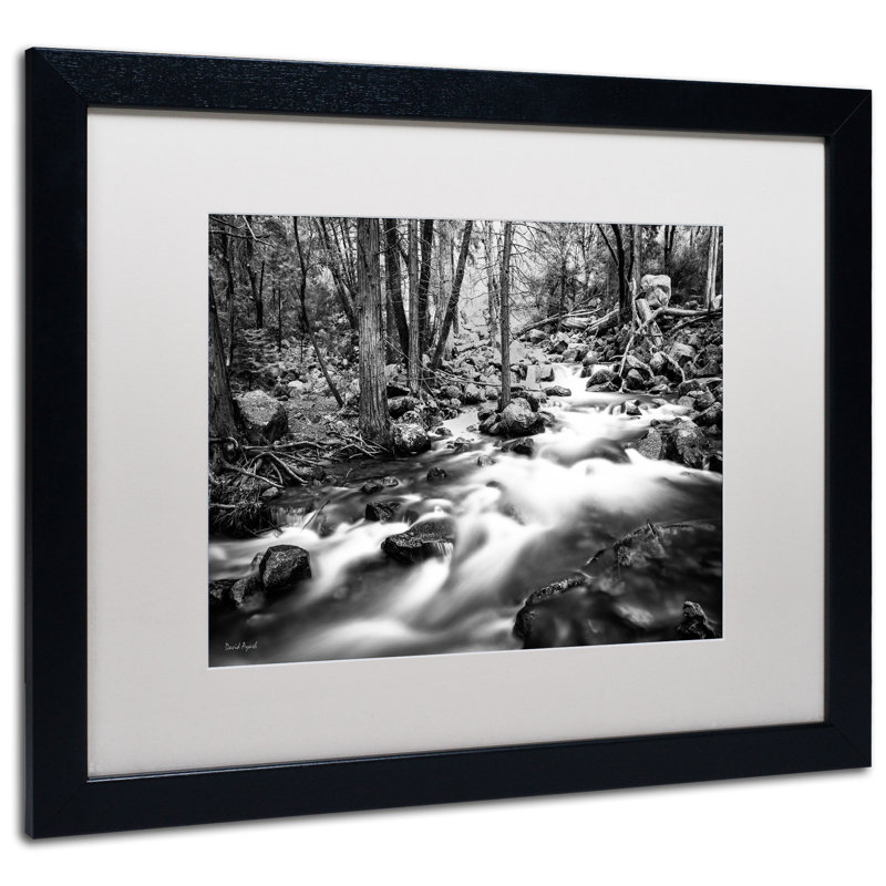 «Grennon 'Yosemite National Park - California-I» par David Ayash, reproduction de photo encadrée, Blanc, H 16 po x l 20 po