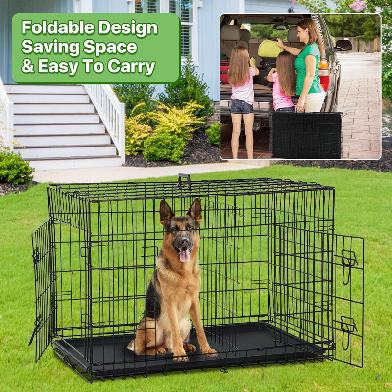 48 Inch Black Metal Wire Dog Crate with Divider
