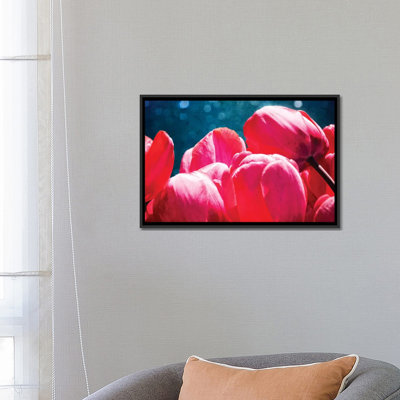 " Fuchsia Tulips III " by Rachel Perry