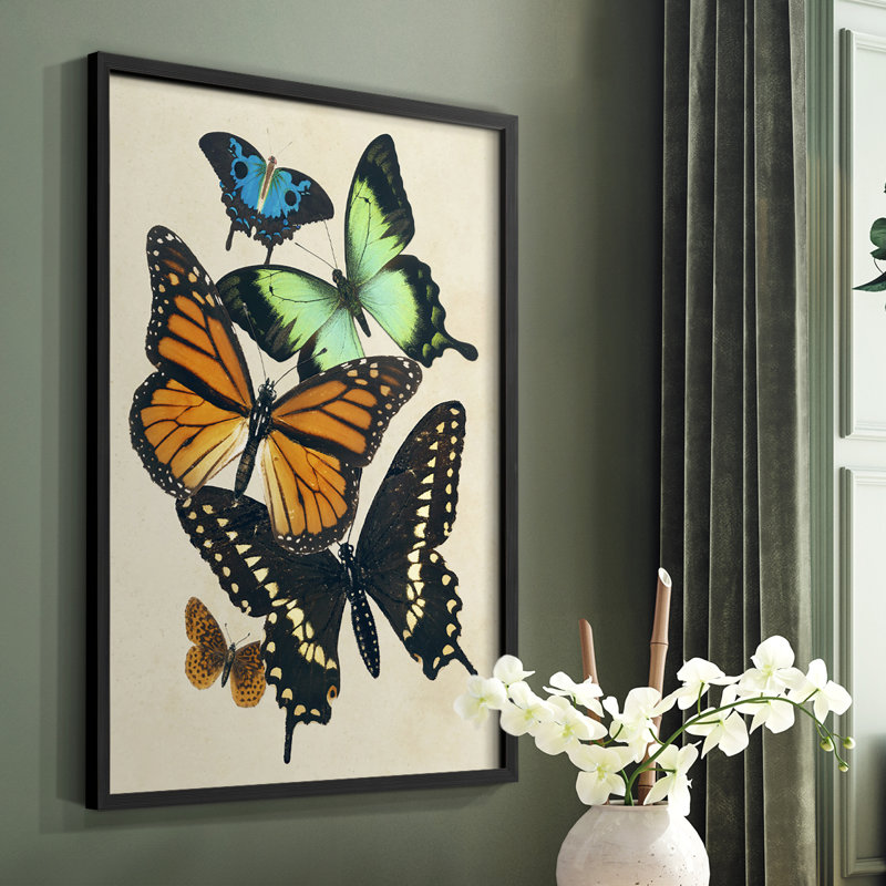 «Collage Butterflies I», reproduction encadrée - bois massif, Noir, H 20 po x l 16 po