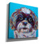 «Shih Tzu On Blue» par Carolee Vitaletti, art mural sur toile-1292561841
