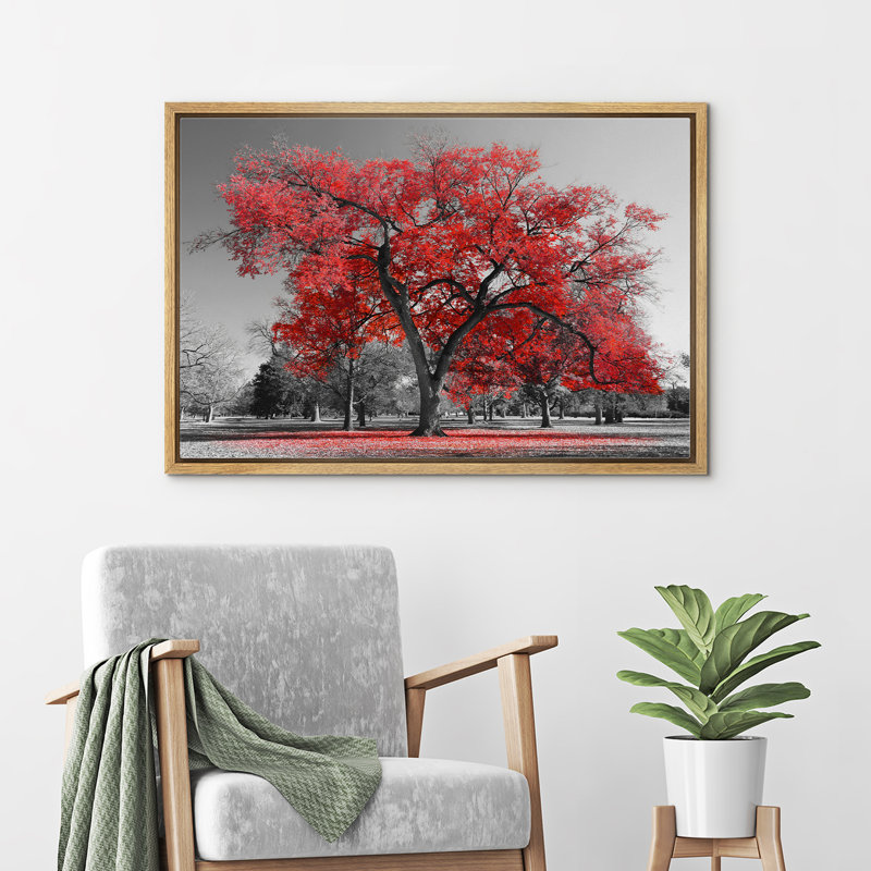 Forest Landscape " Red Tree Against Black And White Background Park ", Natural Floater Framed, 16" H x 24" W