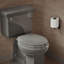 Lustra with Quick-Release Hinges Toilet Seat-286980270-342726763