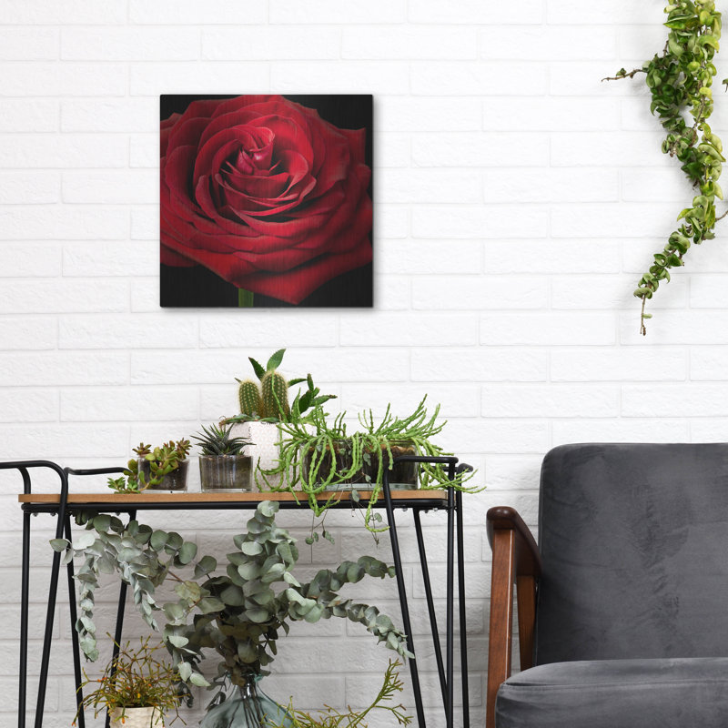 Red Rose 02' by Tom Quartermaine, Metal Wall Art, 12" H x 12" W