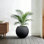Grand pot à fleurs rond 19,5 po en béton noir mat avec intérieur amélioré avec trous de drainage pour l'intérieur et l'extérieur
