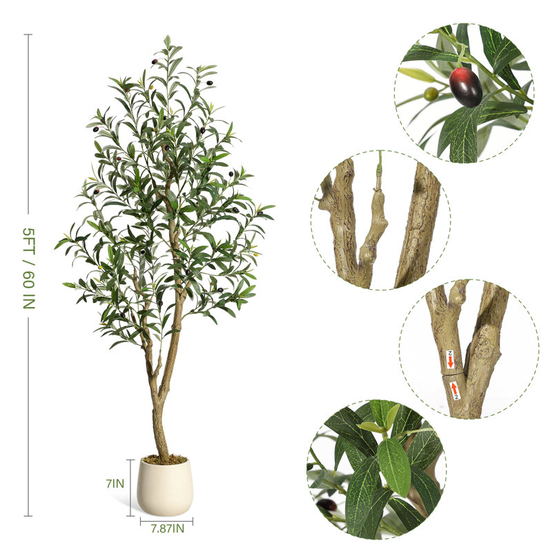 Plant, 1, 152cm H x 20cm W x 20cm D