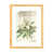 Natural Framed Paper is unavailable
