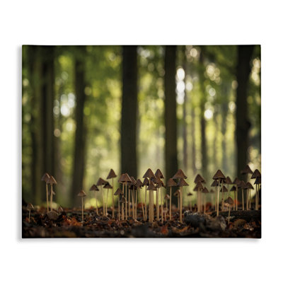 Mushroom Sprouts in Forest Canvas Wall Art by Martin Podt