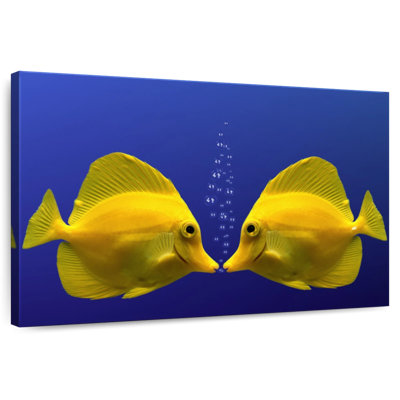 Brampt Kissing Yellow Tang Fish