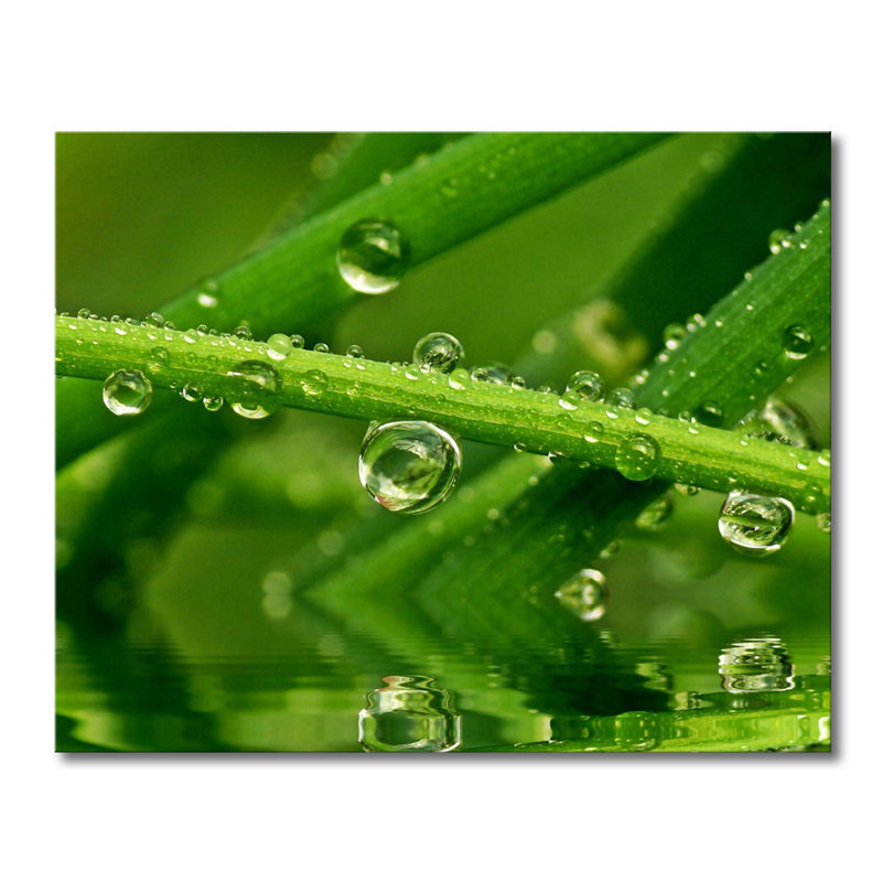 Wrapped Canvas Print, 80cm H x 100cm W x 2cm D