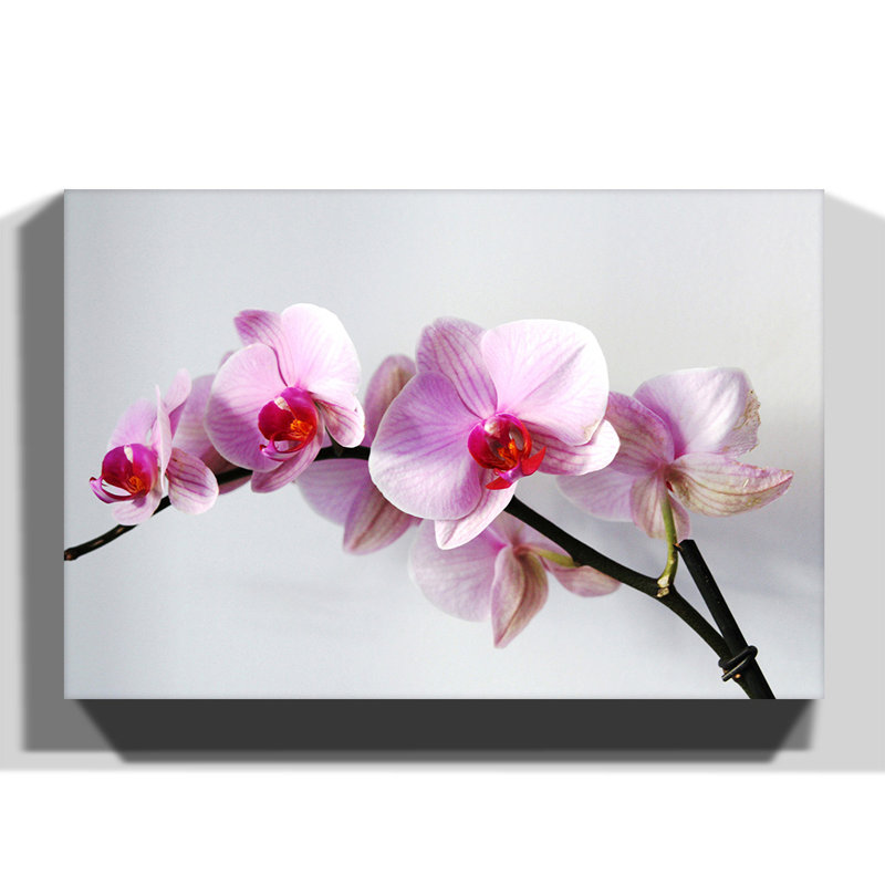 Wrapped Canvas Print, 50cm H x 76cm W