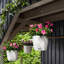 Hanging Planter-16493104-66329965
