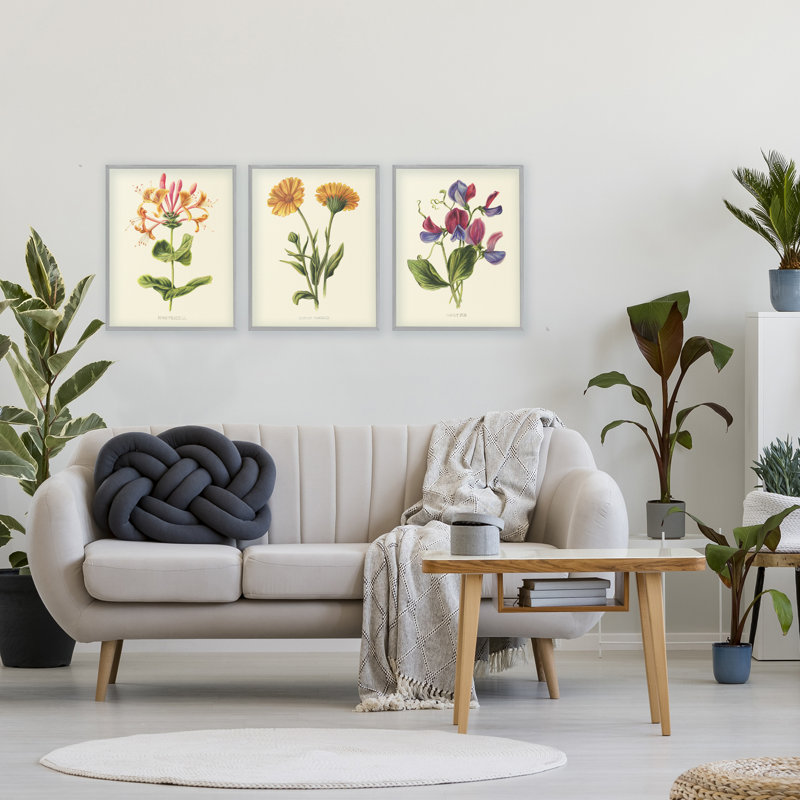 Ensemble de giclée encadrée 3 pièces Vintage Flowering Plants, conception par Connie Resch, H 20 po x l 16 po