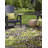 Asuna Green Andromeda Indoor/Outdoor Modern Rug-16125014
