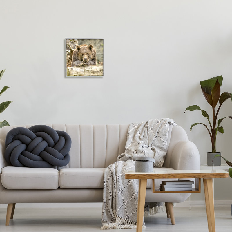 «Bear Resting on Log» par Kim Allen, reproduction de photo sur toile, H 12 po x l 12 po, Estampe numérique Farmhouse