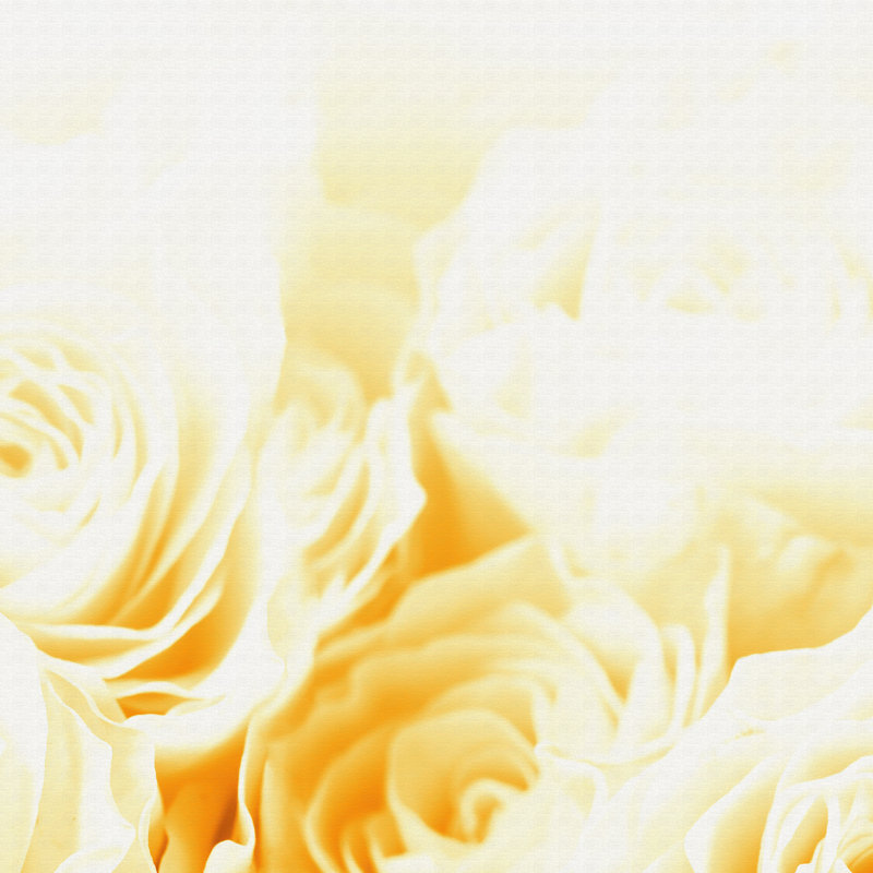 Bed Of Roses - Print on Canvas, 100cm H x 150cm W x 4cm D