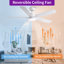 Modern 52" Ceiling Fan with Light and 5 Blades-109078899